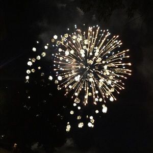 Meet your Posher, Ella